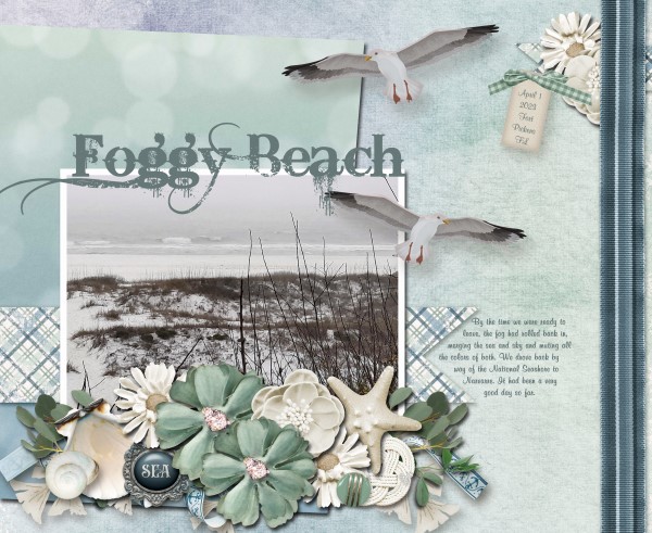 Foggy Beach