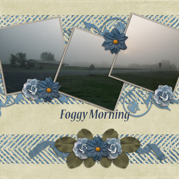 Foggy Morning