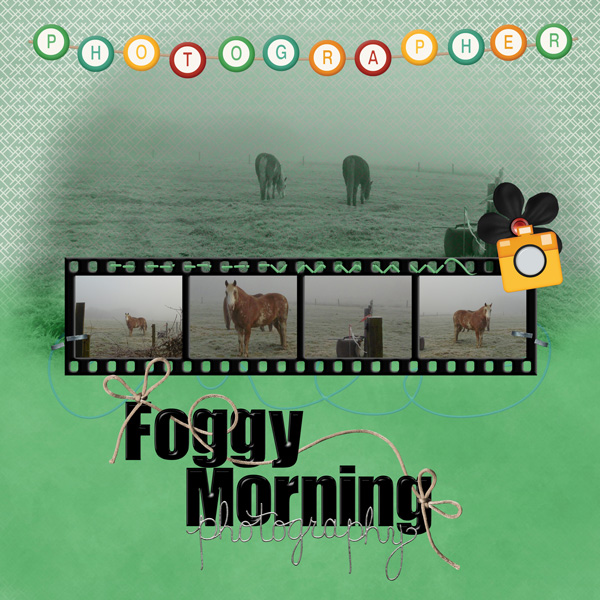 Foggy Morning