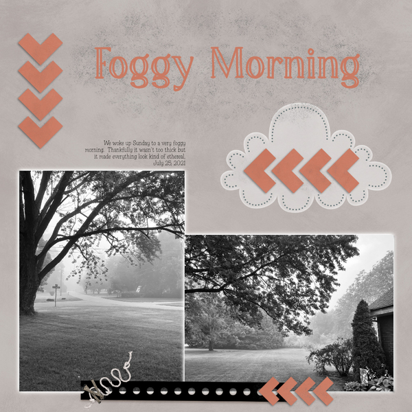 Foggy Morning