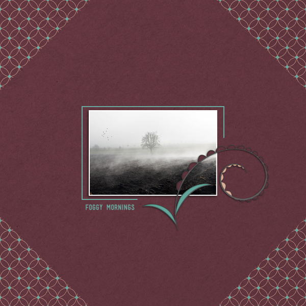 foggy mornings