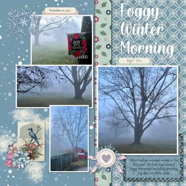 Foggy Winter Morning