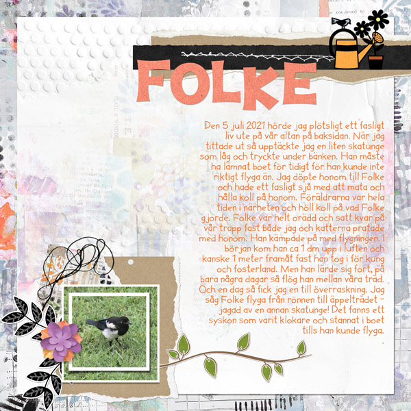 Folke