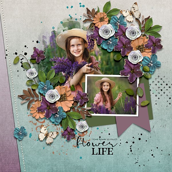 Follow Ones Heart-Bundle