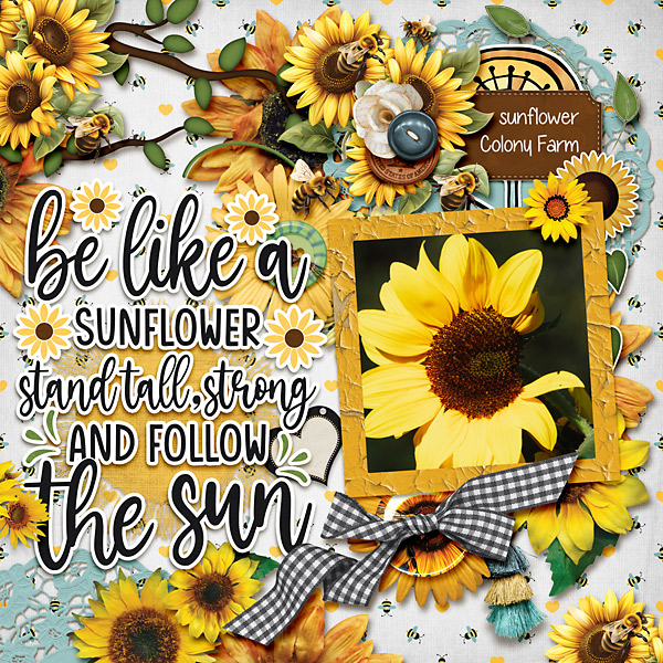 Follow The Sun