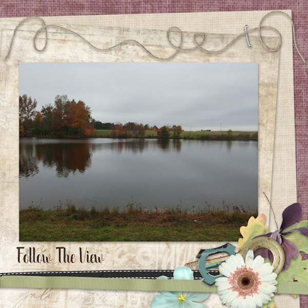 Follow The View