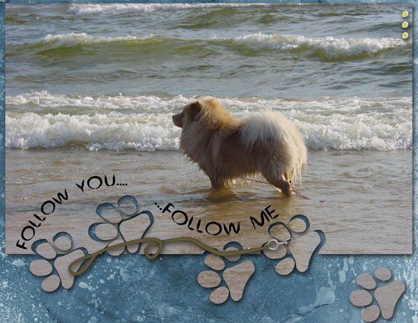 Follow You