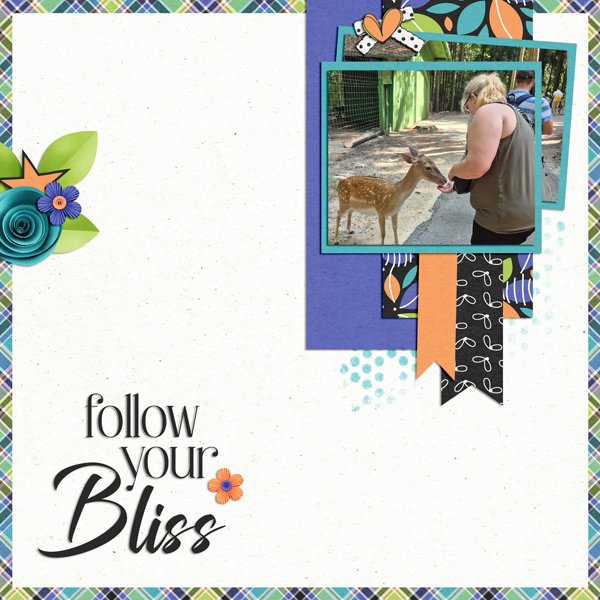 follow your bliss 2025