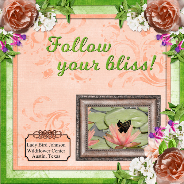 Follow your bliss!