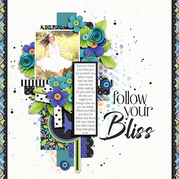 Follow Your Bliss