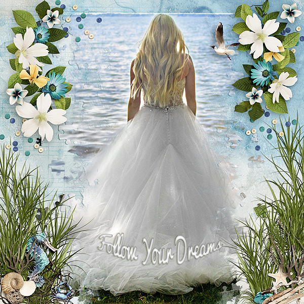 Follow Your Dreams