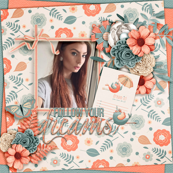 Follow-your-dreams5