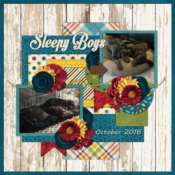 Font Challenge November