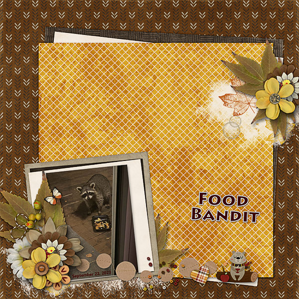Food Bandit
