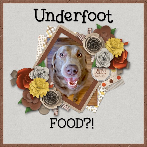 Food?!