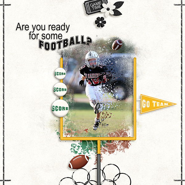 Football Fan