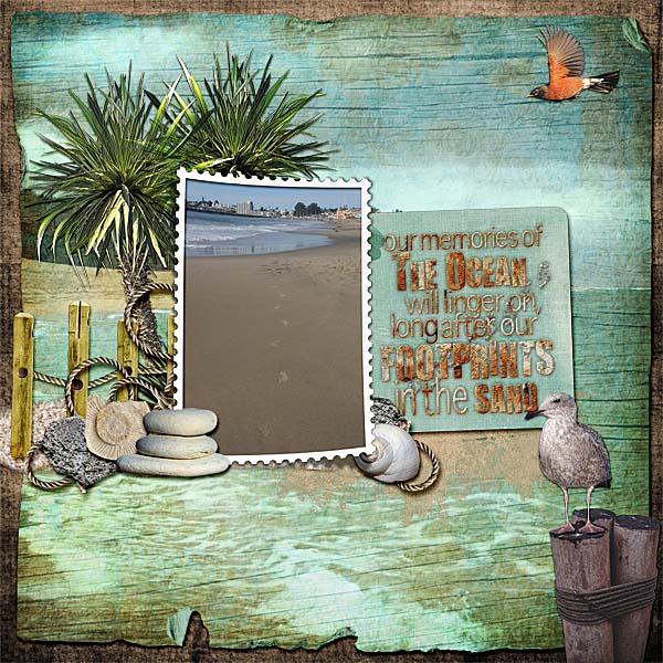 Footprints in the Sand