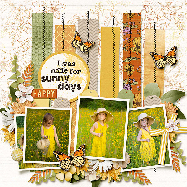 Footsteps in the Meadow
