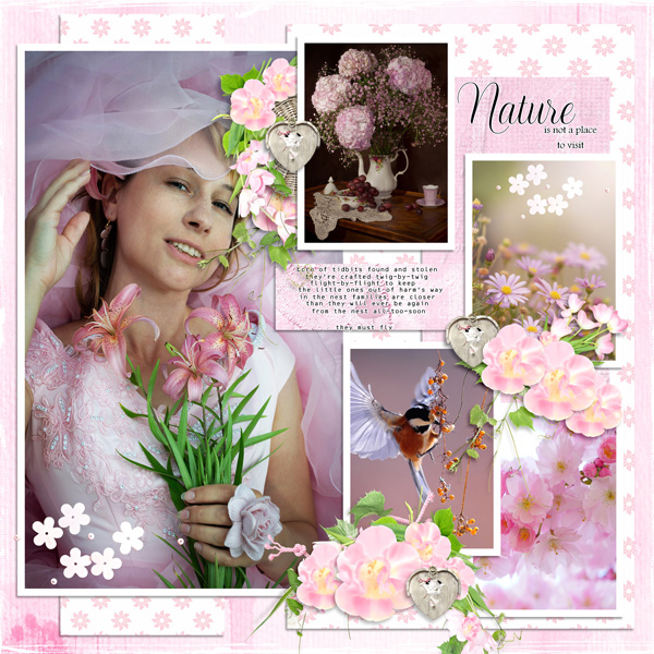 Footsteps of Spring