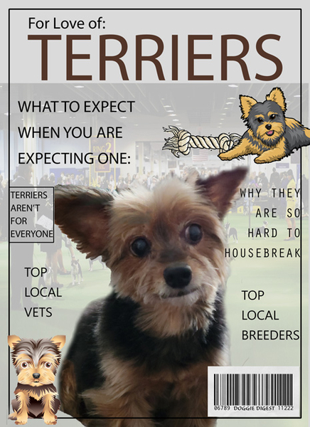 For Love of TERRIERS
