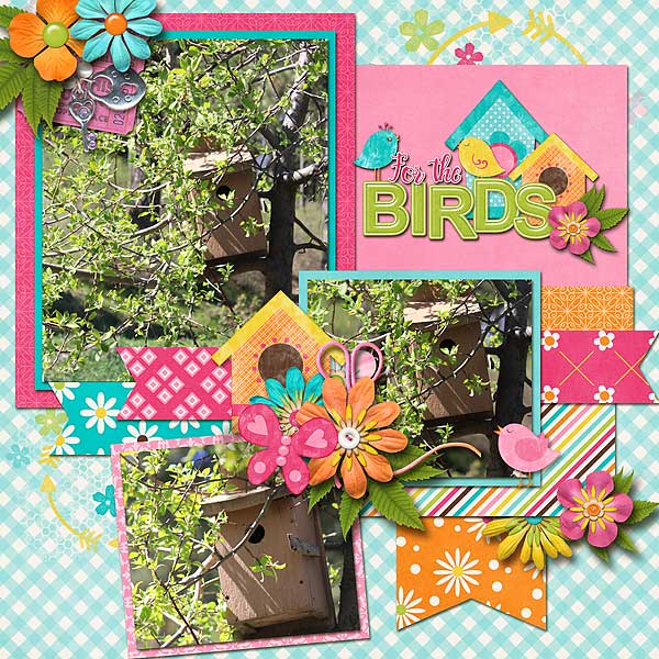 For The Birds