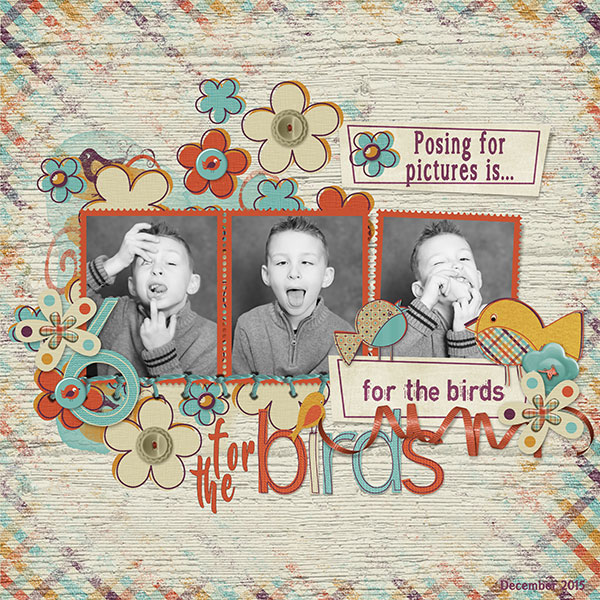 For The Birds