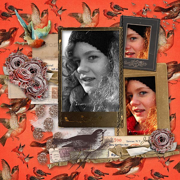 For the Birds