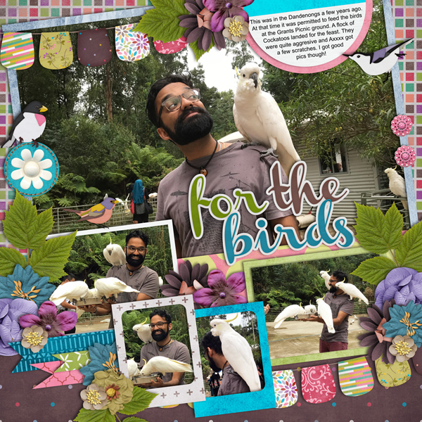 For The Birds