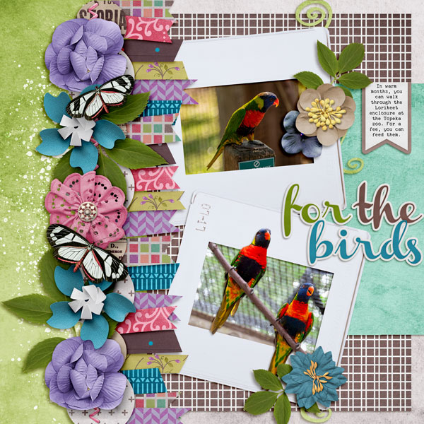 for the birds