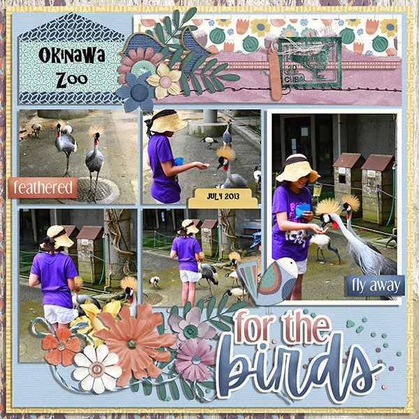 for the birds