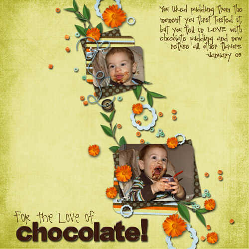 For the Love of Chocolate