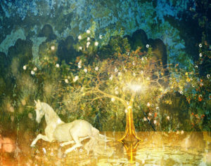 For the Love of Unicorns