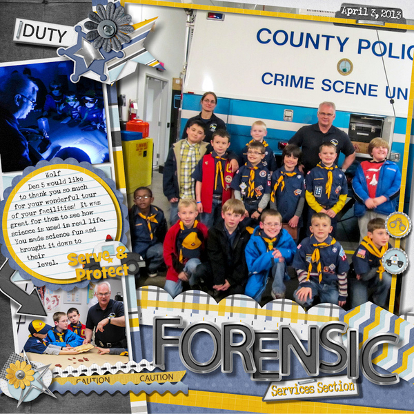 Forensic Service's Section