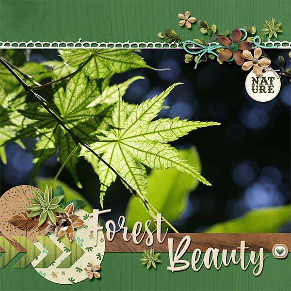 Forest beauty