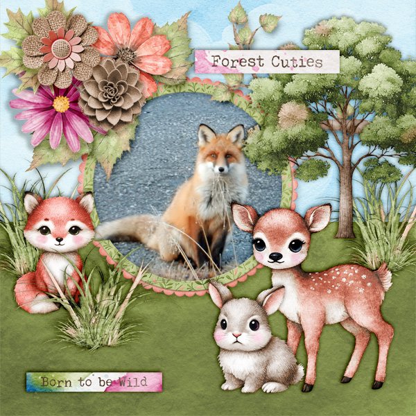 Forest-cuties.jpg