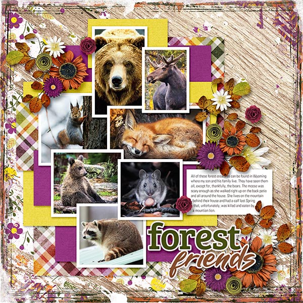 FOREST FRIENDS