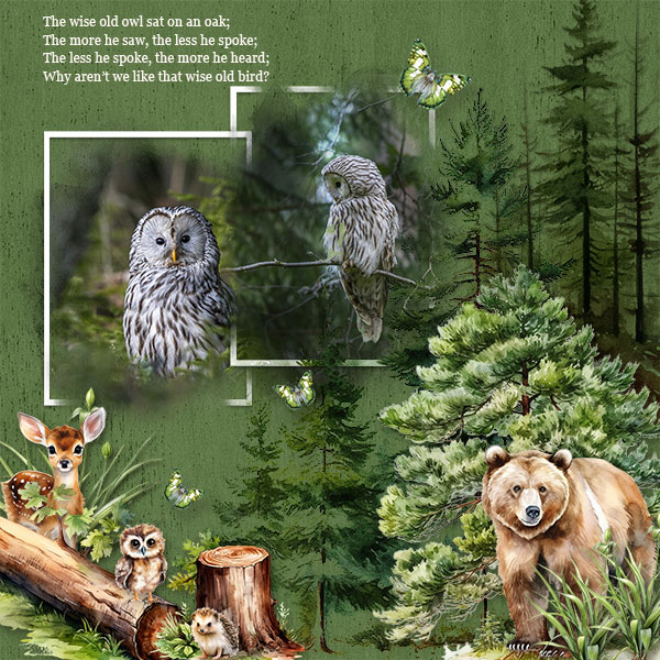 Forest Friends