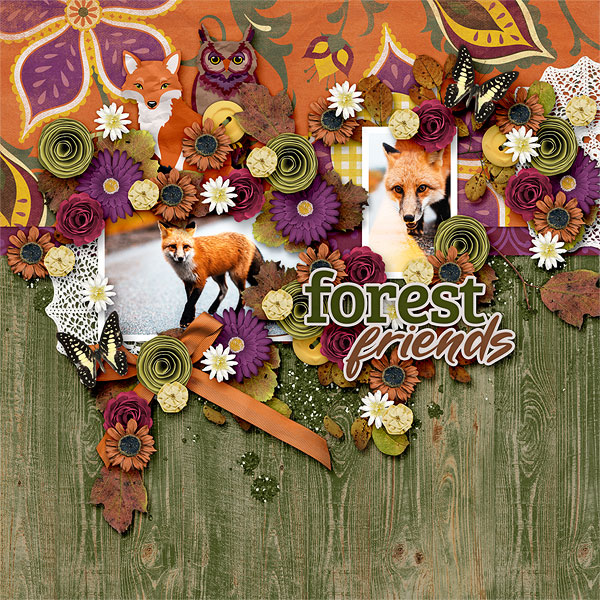 Forest Friends