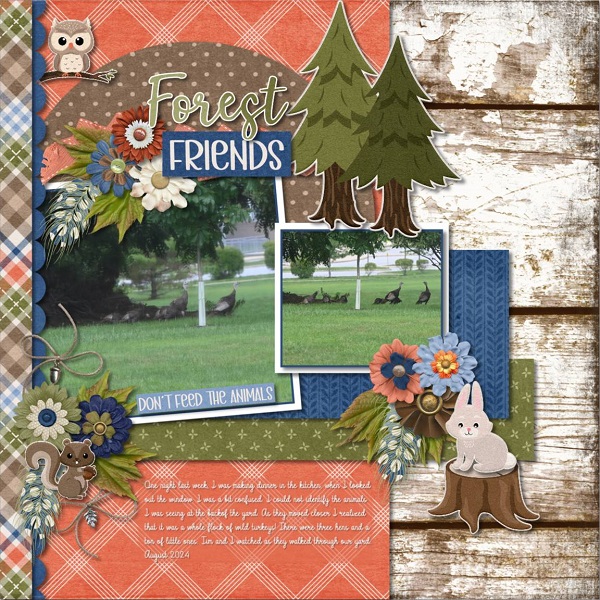 Forest Friends
