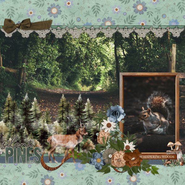 forest.jpg
