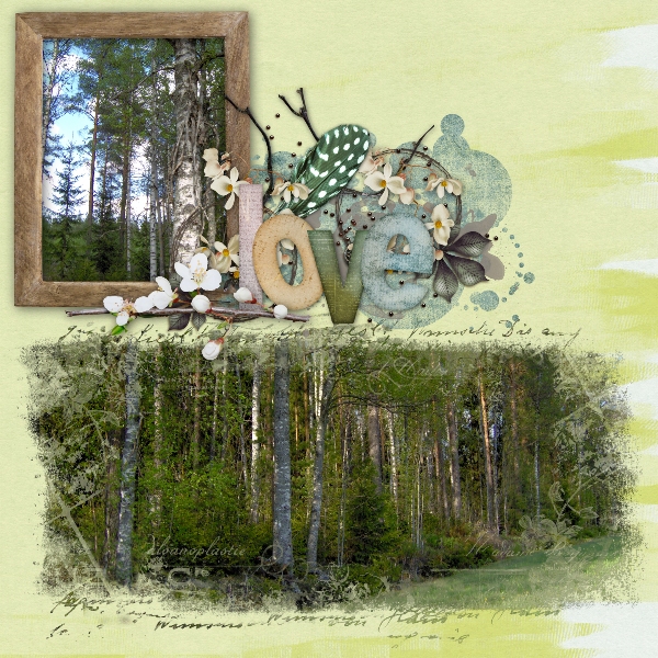 Forest lover