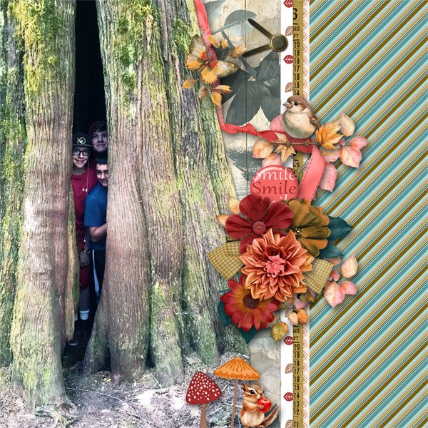 Forest of Smiles