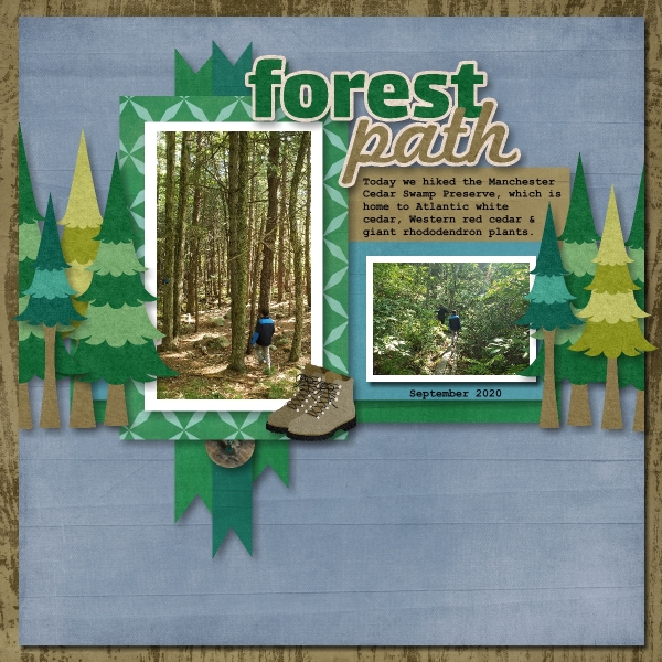 Forest Path 2020