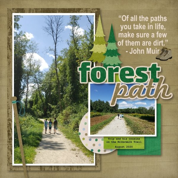 Forest Path - August 2020.jpg