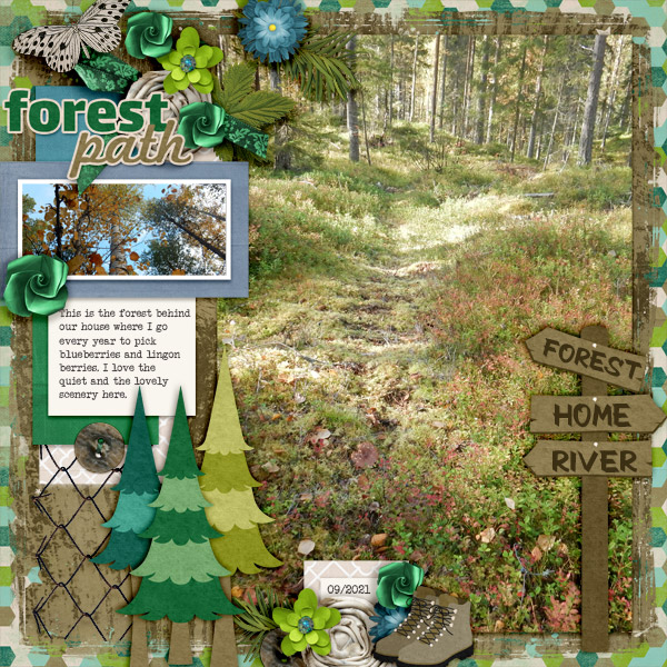 Forest-path