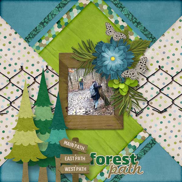 Forest Path