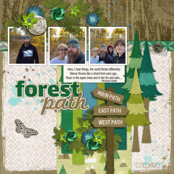 Forest Path
