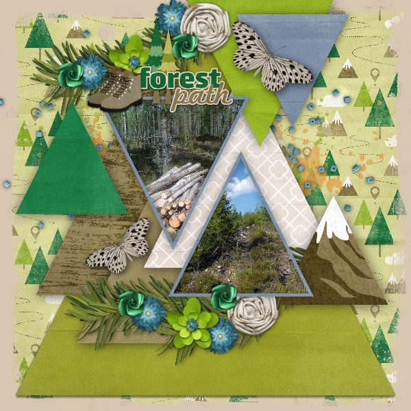 Forest path