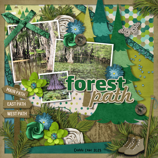 Forest Path