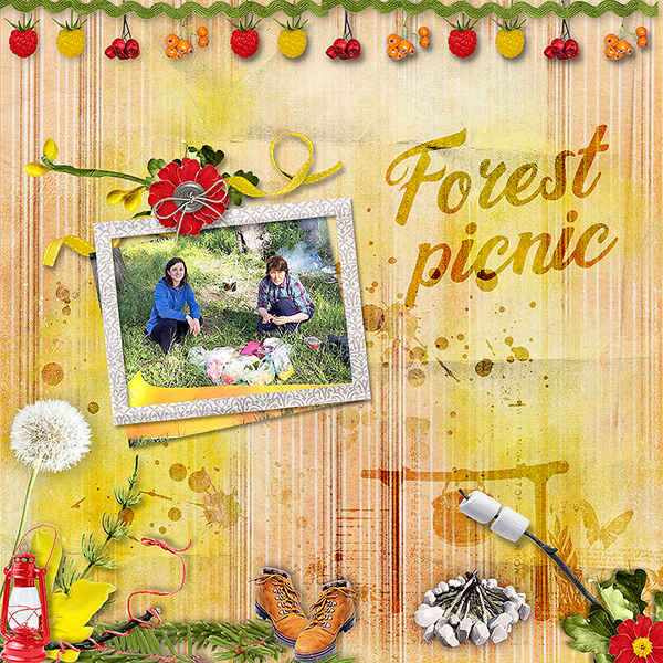 Forest Picnic